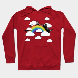 Rainbow cats Hoodie